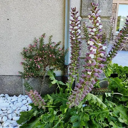 Vallee 1900 Bed & Breakfast