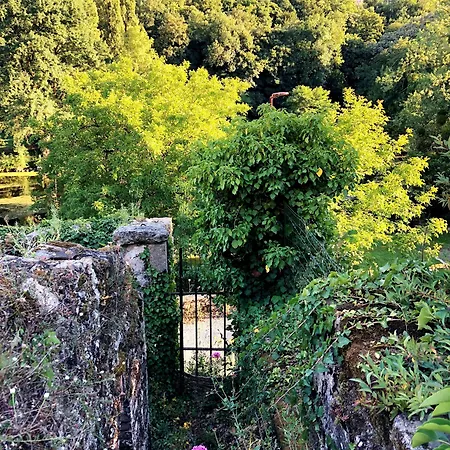 Bed & Breakfast Vallee 1900 4*