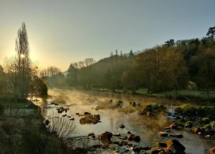 Vallee 1900 4* Torfou (Maine-et-Loire)